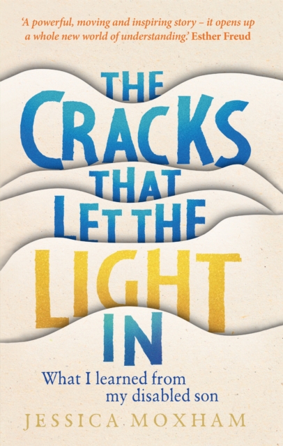 The Cracks that Let the Light In : What I learned from my disabled son, Hardback Book