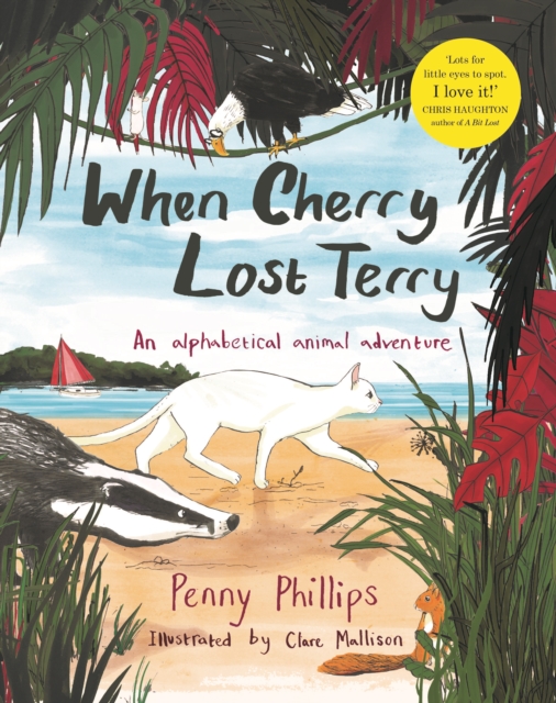 When Cherry Lost Terry, Paperback / softback Book