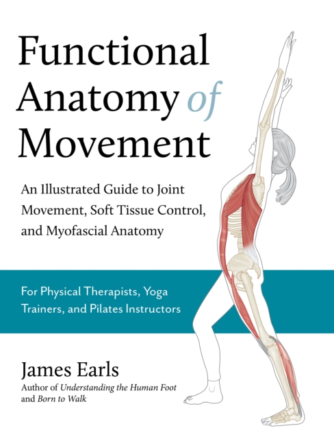 Functional Anatomy of Movement : An Illustrated Guide to Joint Movement, Soft Tissue Control, and Myofascial Anatomy, Paperback / softback Book