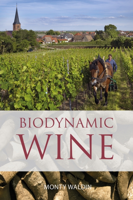 Biodynamic wine, Paperback / softback Book
