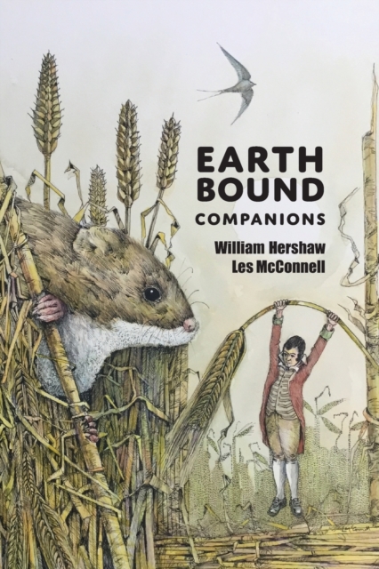 Earth Bound Companions, Paperback / softback Book