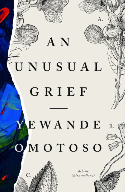 An Unusual Grief, EPUB eBook