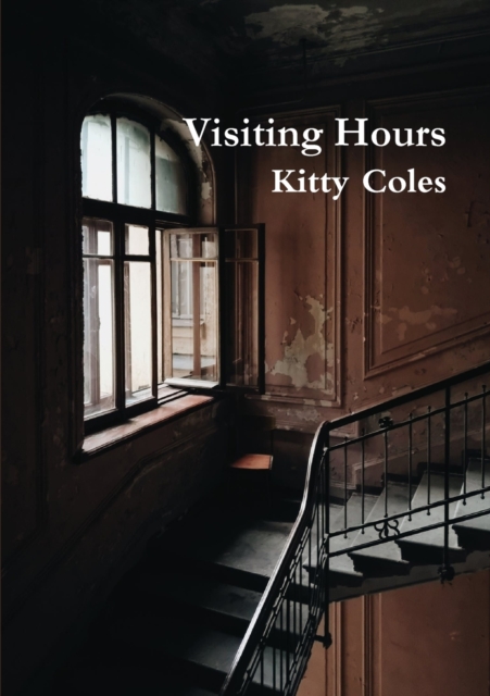 Visiting Hours, Paperback / softback Book