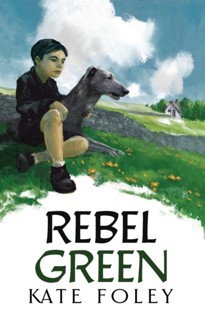 Rebel Green : A family drama set in Ireland, Paperback / softback Book