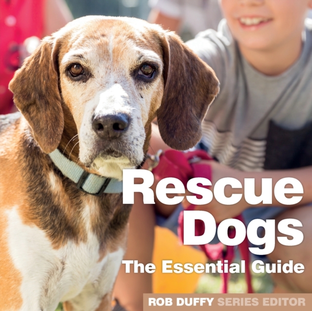 Rescue Dogs : The Essential Guide, Paperback / softback Book