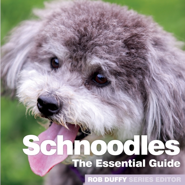 Schnoodles : The Essential Guide, Paperback / softback Book