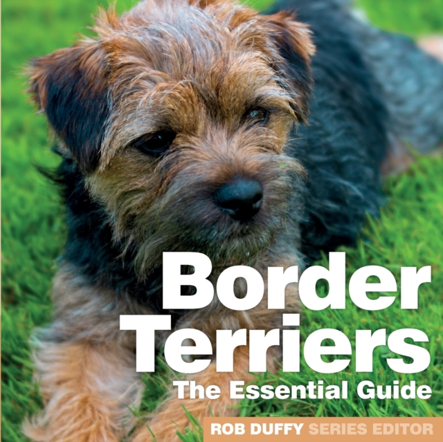 Border Terriers : The Essential Guide, Paperback / softback Book