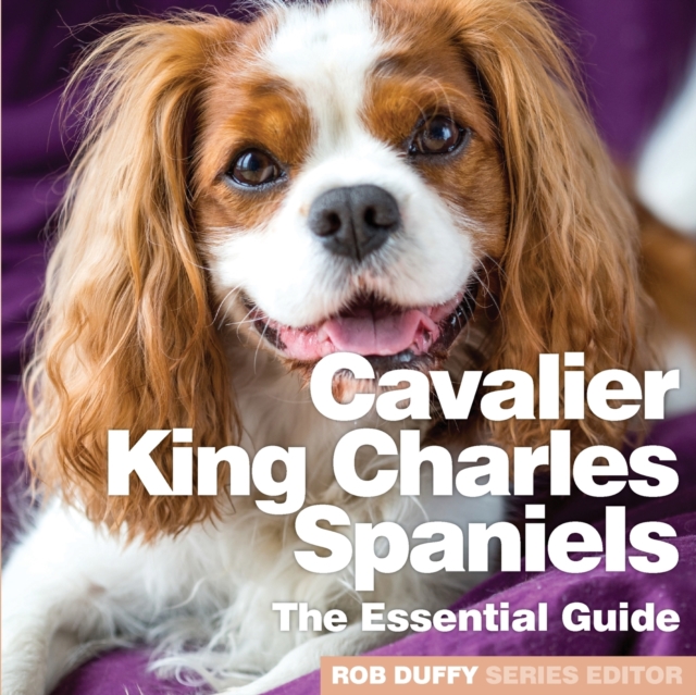 Cavalier King Charles Spaniels : The Essential Guide, Paperback / softback Book