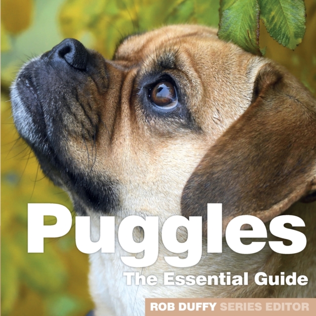 Puggles : The Essential Guide, Paperback / softback Book