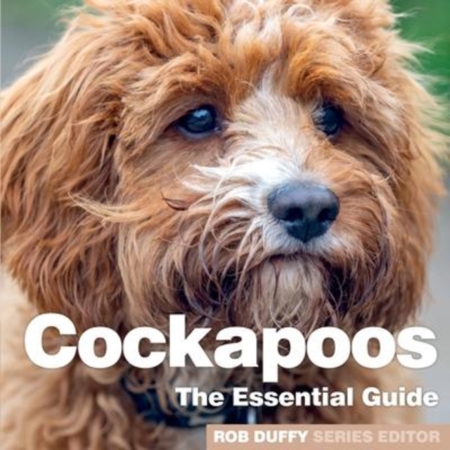Cockerpoos, Paperback / softback Book