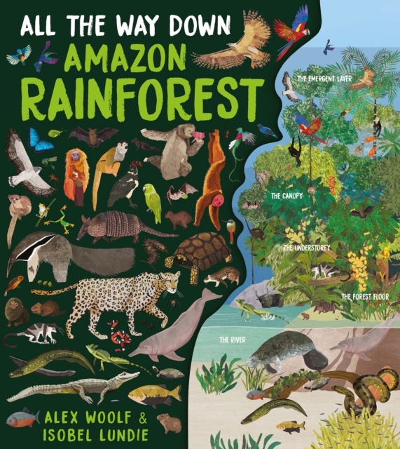 All The Way Down: Amazon Rainforest, Hardback Book