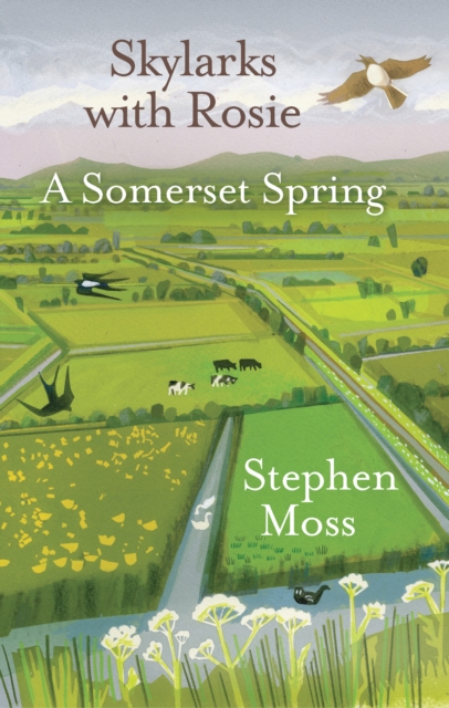 Skylarks with Rosie : A Somerset Spring, Hardback Book