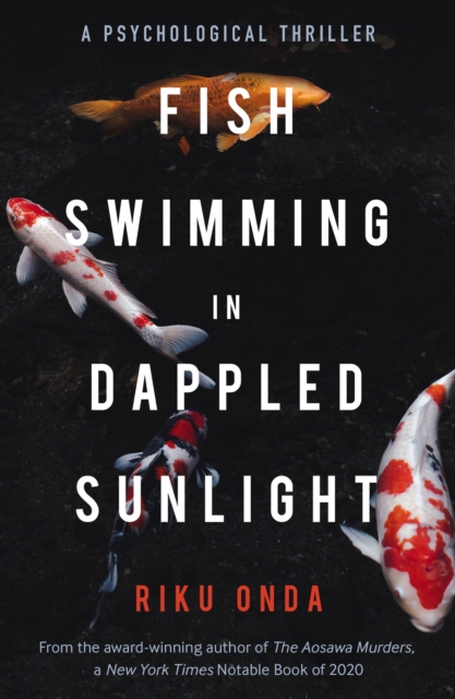 Fish Swimming in Dappled Sunlight, Paperback / softback Book