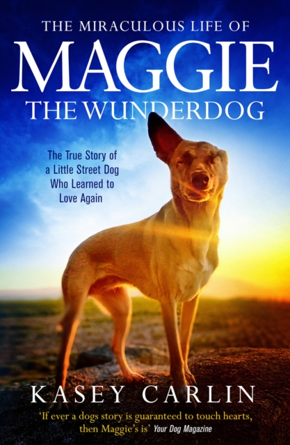The Miraculous Life of Maggie the Wunderdog : The true story of a little street dog who learned to love again, Paperback / softback Book