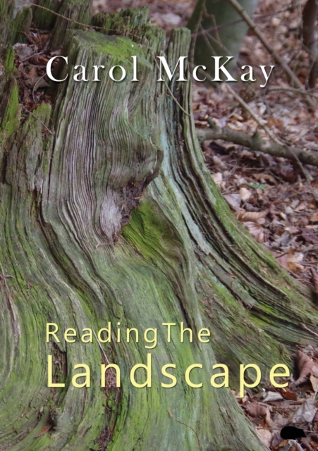 Reading The Landscape, Paperback / softback Book