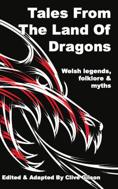Tales From The Land Of Dragons, EPUB eBook