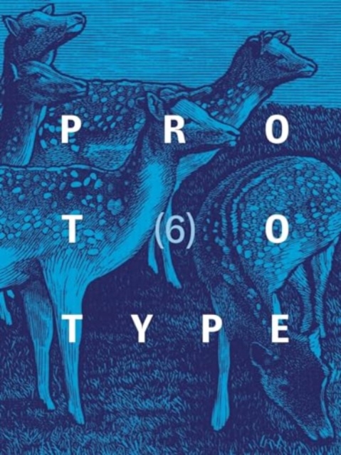 PROTOTYPE 6, Paperback / softback Book