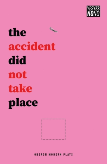 The accident did not take place, Paperback / softback Book