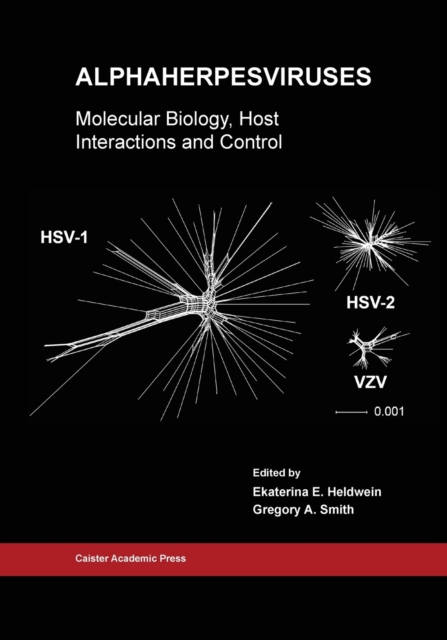 Alphaherpesviruses : Molecular Biology, Host Interactions and Control, Paperback / softback Book
