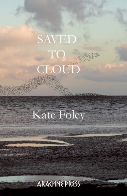Saved to Cloud, Paperback / softback Book