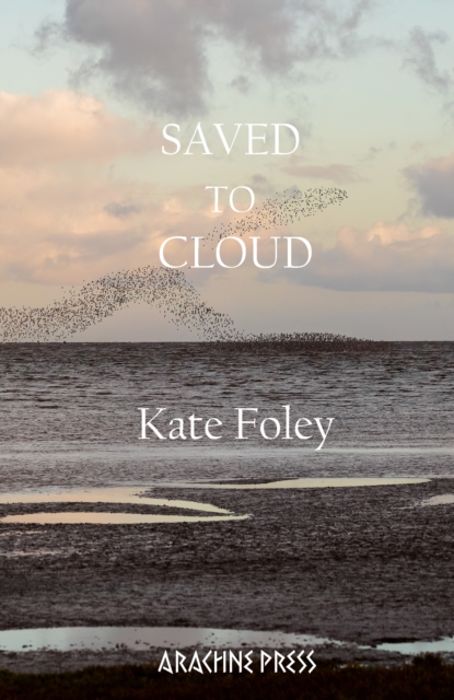 Saved to Cloud, EPUB eBook