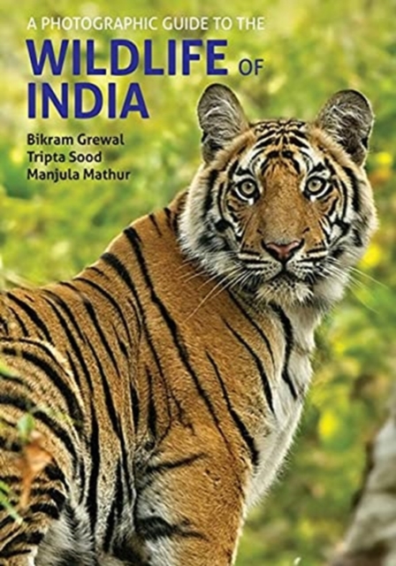 A Photographic Guide to the Wildlife of India, Paperback / softback Book