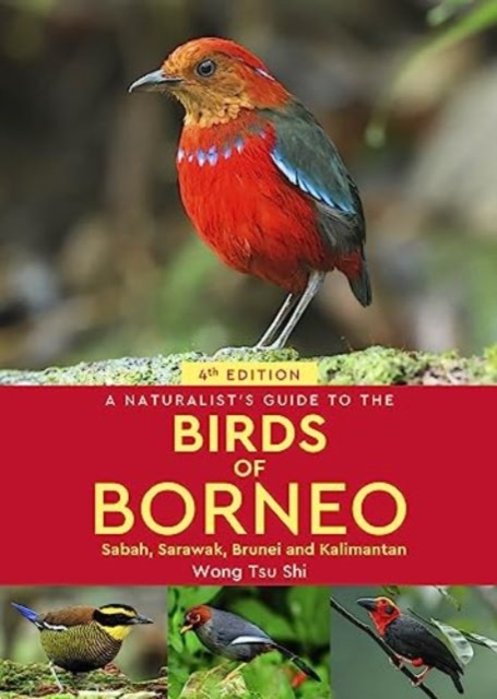 A Naturalist's Guide to the Birds of Borneo : Sabah, Sarawak, Brunei and Kalimantan, Paperback / softback Book