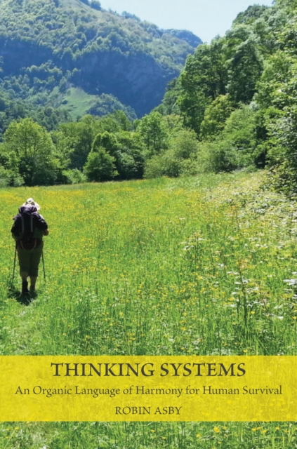 Thinking Systems : An Organic Language of Harmony for Human Survival, Paperback / softback Book