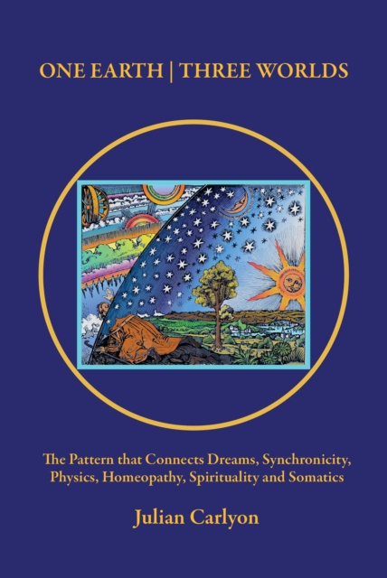 One Earth | Three Worlds : The Pattern that Connects Dreams, Synchronicity, Physics, Homeopathy, Spirituality and Somatics, Paperback / softback Book