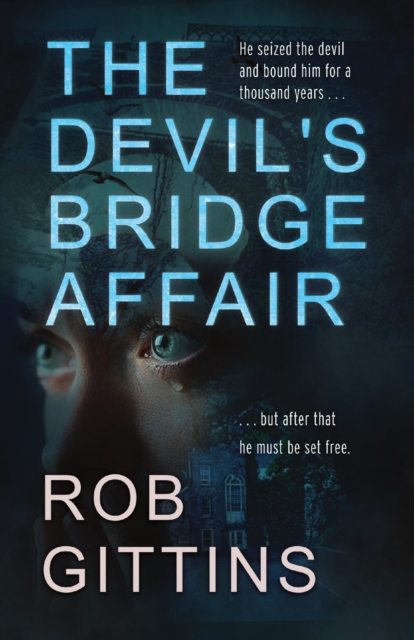 The Devil's Bridge Affair, Paperback / softback Book