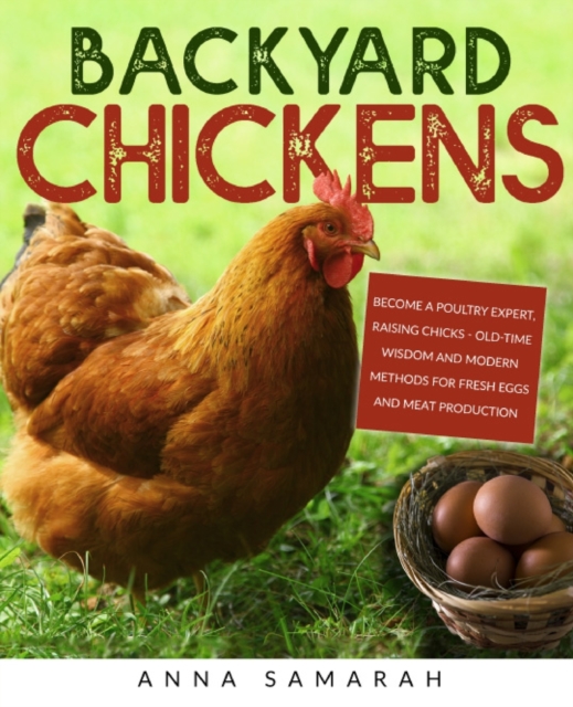Backyard Chickens, Paperback / softback Book