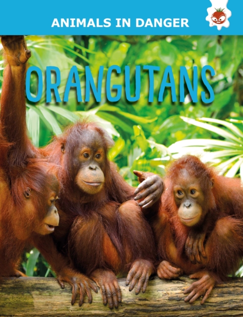 Orangutans : Animals In Danger, Paperback / softback Book