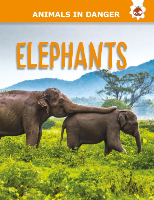 Elephants, Paperback / softback Book