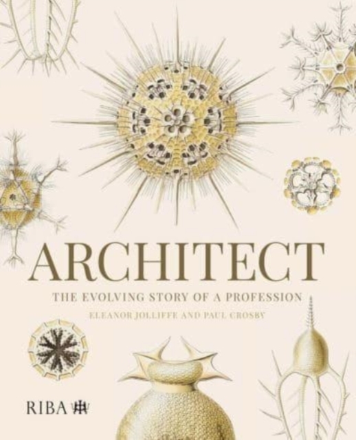 Architect: The evolving story of a profession, Paperback / softback Book