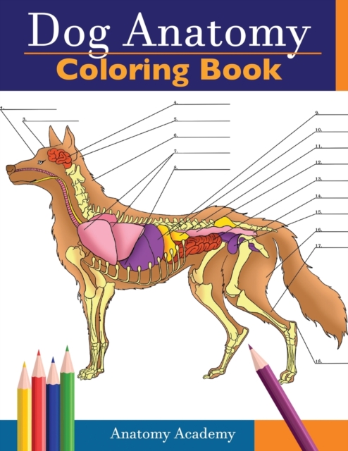 Dog Anatomy Coloring Book : Incredibly Detailed Self-Test Canine Anatomy Color workbook Perfect Gift for Veterinary Students, Dog Lovers & Adults, Paperback / softback Book