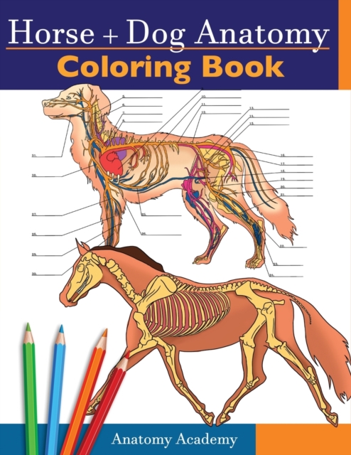 Horse + Dog Anatomy Coloring Book : 2-in-1 Compilation Incredibly Detailed Self-Test Equine & Canine Anatomy Color workbook Perfect Gift for Veterinary Students, Animal Lovers & Adults, Paperback / softback Book