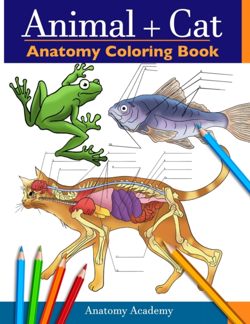 Animal & Cat Anatomy Coloring Book : 2-in-1 Compilation Incredibly Detailed Self-Test Veterinary & Feline Anatomy Color workbook, Paperback / softback Book