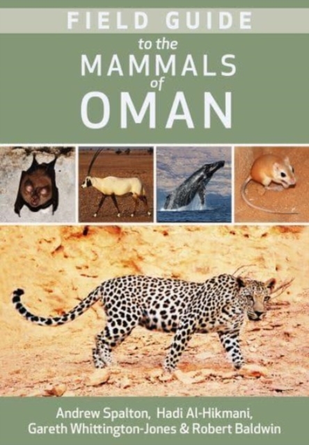 Field Guide to the Mammals of Oman, Paperback / softback Book