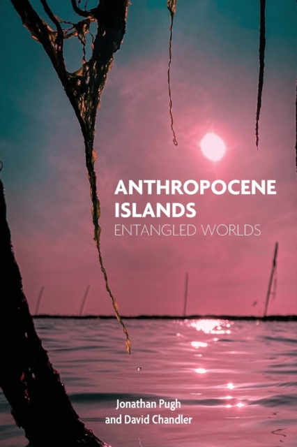 Anthropocene Islands : Entangled Worlds, Paperback / softback Book