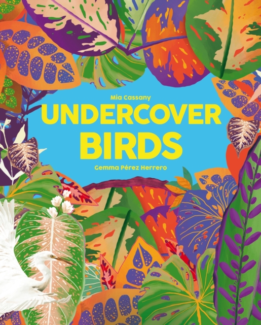 Undercover Birds, Hardback Book