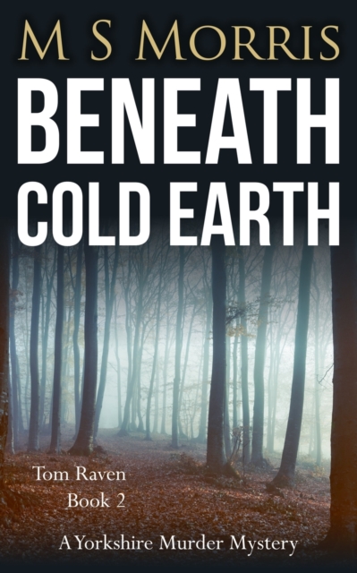Beneath Cold Earth : A Yorkshire Murder Mystery, Paperback / softback Book