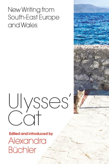 Ulysses's Cat : New Writing from South-East Europe and Wales, Paperback / softback Book
