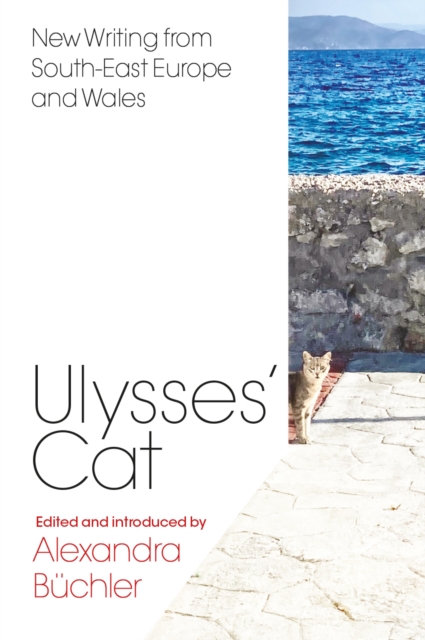 Ulysses's Cat, EPUB eBook