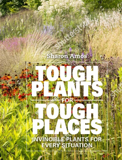 Tough Plants for Tough Places : Invincible Plants for Every Situation, Hardback Book