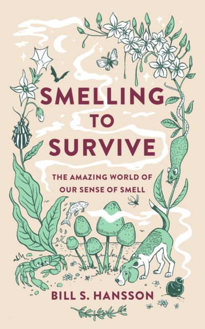 Smelling to Survive : The Amazing World of Our Sense of Smell, Paperback / softback Book