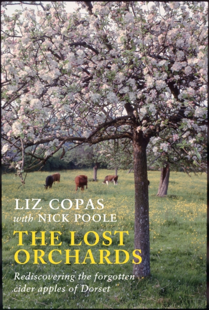 The Lost Orchards : Rediscovering the forgotten apple varieties of Dorset, Paperback / softback Book