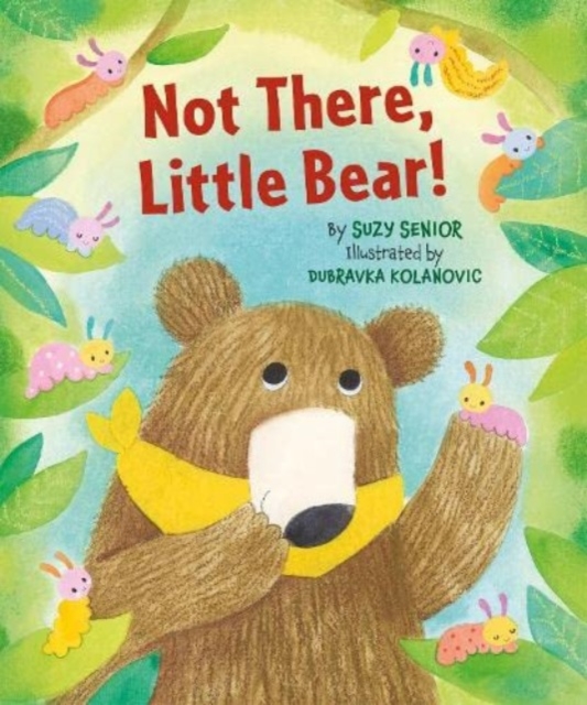 Not There Little Bear, Hardback Book