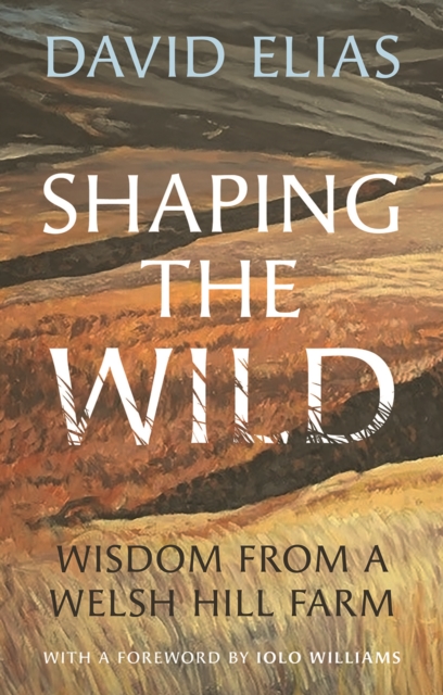 Shaping the Wild : Wisdom from a Welsh Hill Farm, Hardback Book