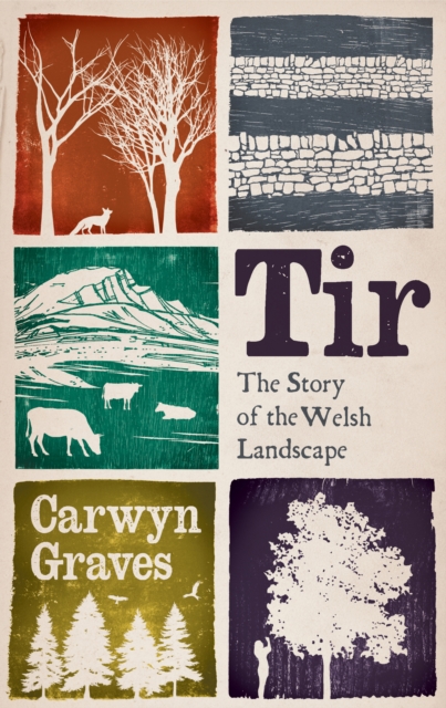 Tir : The Story of the Welsh Landscape, PDF eBook