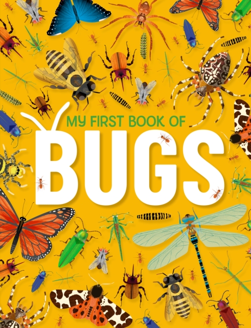 My First Book of Bugs, Hardback Book